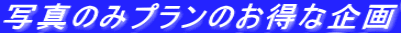 写真のみプランのお得な企画